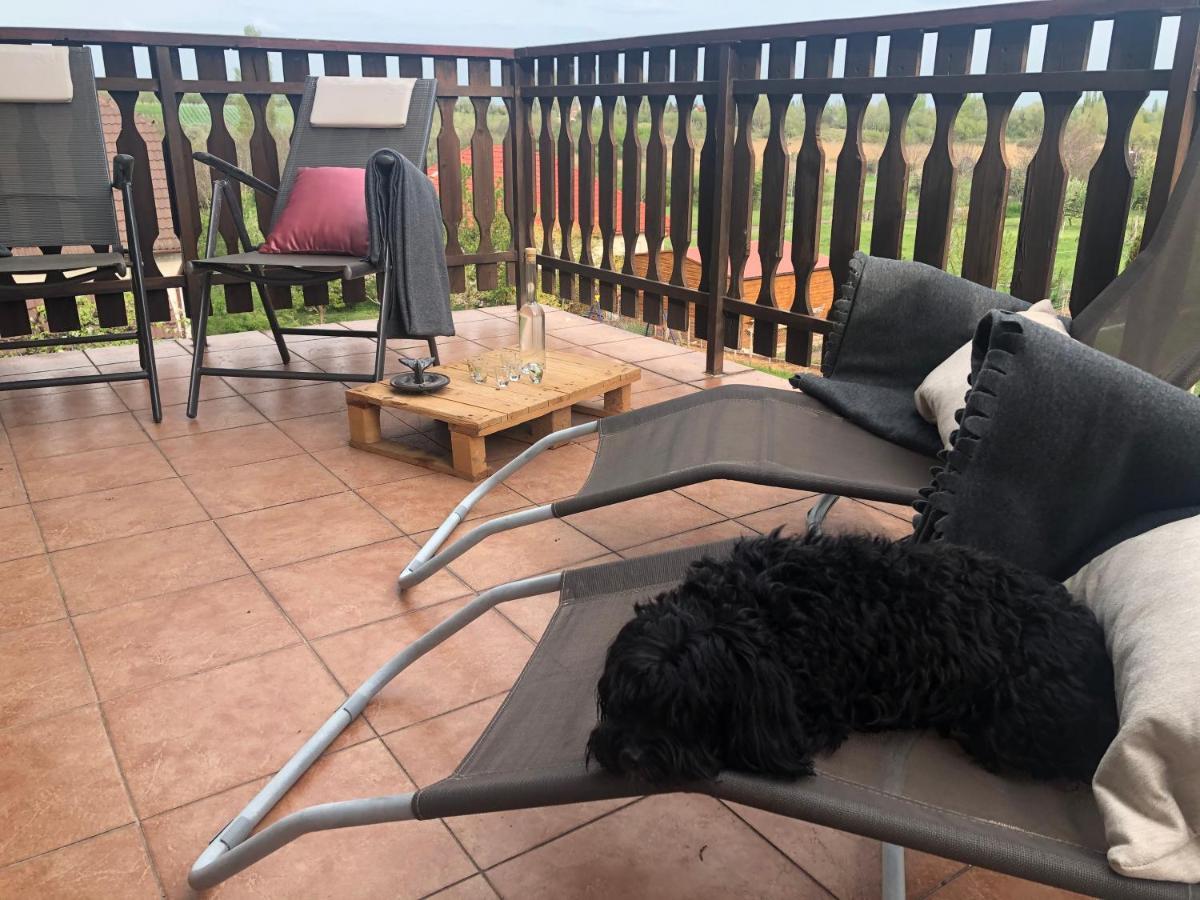 Balaton Apartman Paloznak Dış mekan fotoğraf